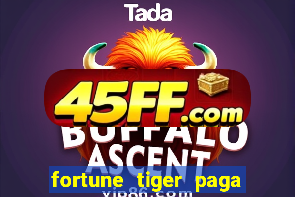 fortune tiger paga de madrugada